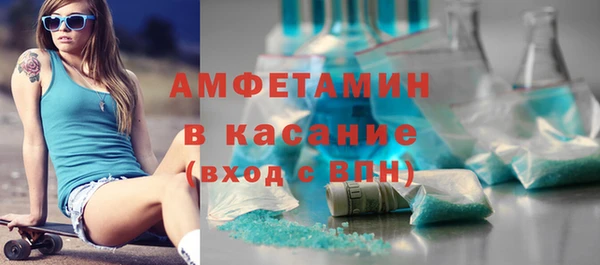 прущие грибы Бронницы