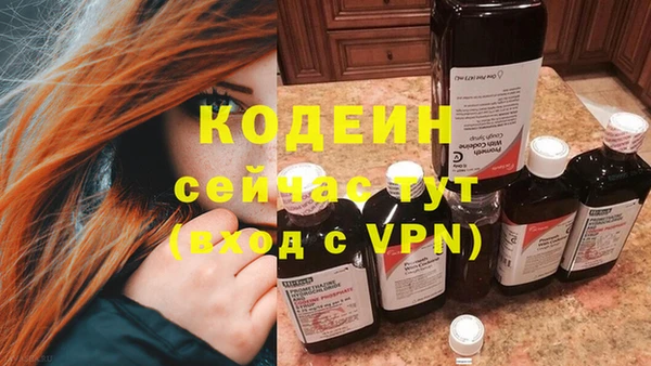 прущие грибы Бронницы