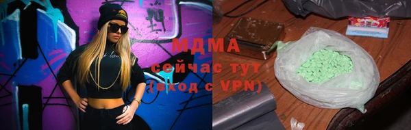 прущие грибы Бронницы