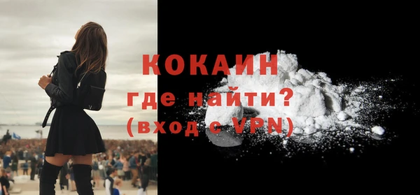 ECSTASY Бородино