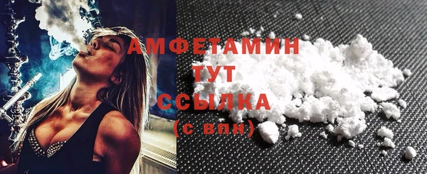 ECSTASY Бородино