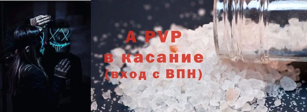 ECSTASY Бородино