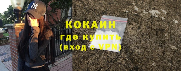 прущие грибы Бронницы
