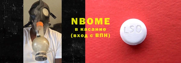 ECSTASY Бородино
