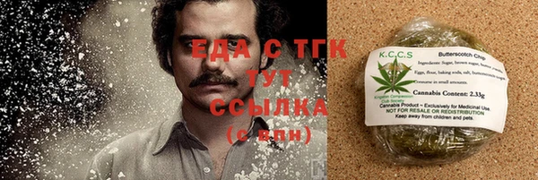 прущие грибы Бронницы