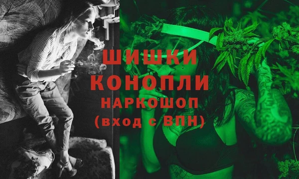 ECSTASY Бородино