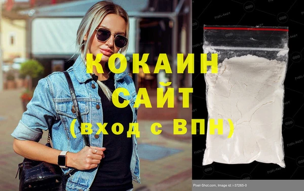 ECSTASY Бородино