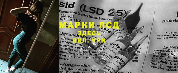 прущие грибы Бронницы