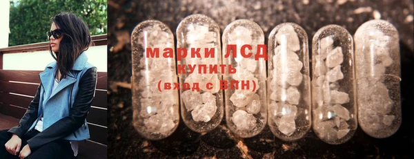 ECSTASY Бородино