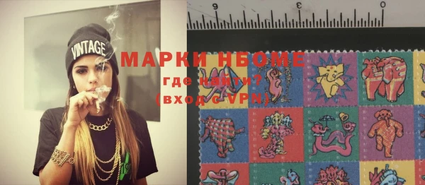 прущие грибы Бронницы