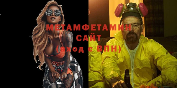 прущие грибы Бронницы