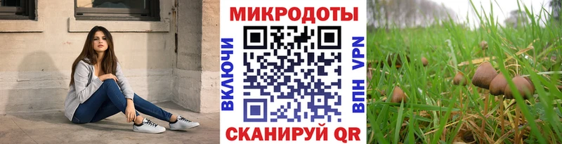 купить наркотики цена  Кологрив  Псилоцибиновые грибы мухоморы 
